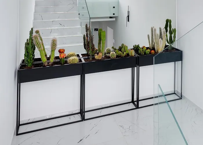 Aqua Bluemica Adults Only Gasthuis Miedzyzdroje